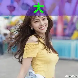 韩辰强